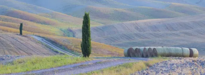 Framed Print : Italy, Tuscany. Hay bales and farm land. Credit as: Gilles Delisle / Jaynes Gallery Framed Print : Italy, Tuscany. Hay bales and farm land. Credit as: Gilles Delisle / Jaynes Gallery
