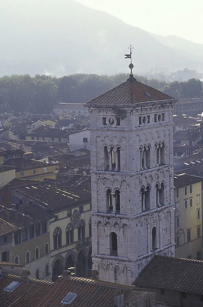 Italy, Tuscany, Lucca 14th C. tower and old houses with moutain in distance