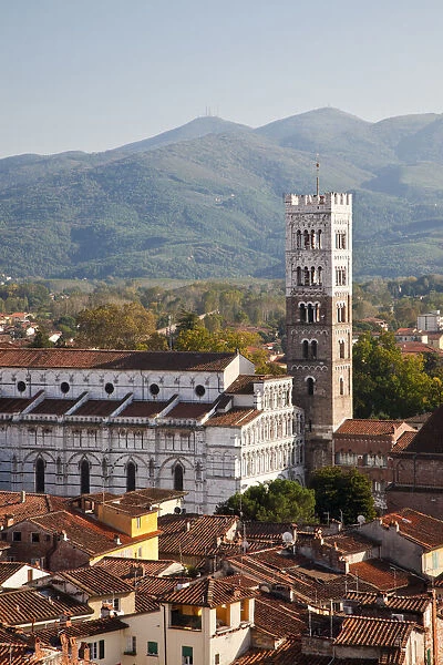 Italy, Tuscany, Lucca. The rooftops of the historic center of Lucca and the medieval bell tower of St. Martin Cathedral
