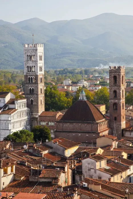 Framed Print : Italy, Tuscany, Lucca. The rooftops of the historic center of Lucca and the medieval bell tower of St. Martin Cathedral Framed Print : Italy, Tuscany, Lucca. The rooftops of the historic center of Lucca and the medieval bell tower of St. Martin Cathedral