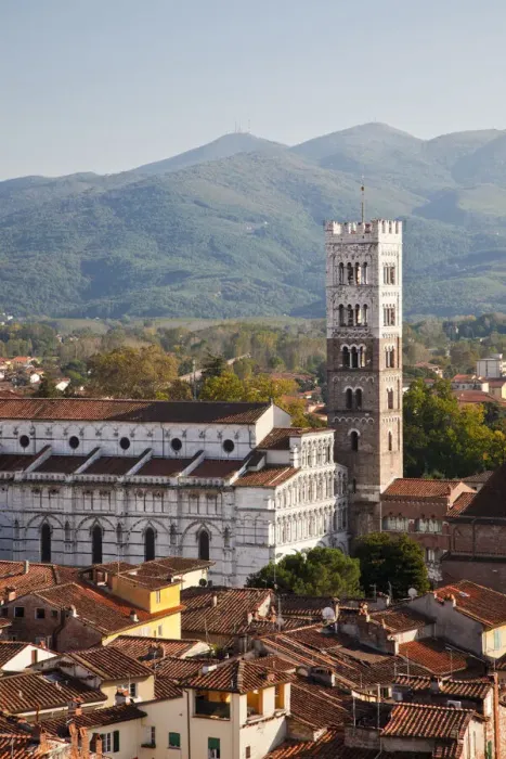 Framed Print : Italy, Tuscany, Lucca. The rooftops of the historic center of Lucca and the medieval bell tower of St. Martin Cathedral Framed Print : Italy, Tuscany, Lucca. The rooftops of the historic center of Lucca and the medieval bell tower of St. Martin Cathedral