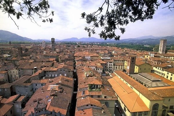 Italy, Tuscany, Lucca. Town panorama from tower, Casa dei Guinigi