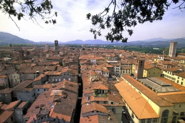 Framed Print : Italy, Tuscany, Lucca. Town panorama from tower, Casa dei Guinigi Framed Print : Italy, Tuscany, Lucca. Town panorama from tower, Casa dei Guinigi