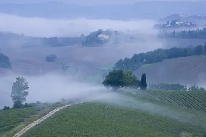 Framed Print : Italy, Tuscany, misty morning landscape
