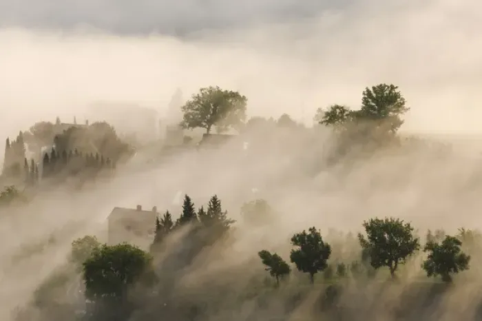 Framed Print : Italy, Tuscany. Morning fog drifts over vineyards with sun breaking through