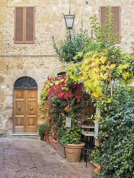 Italy, Tuscany, Pienza. Doorway surrounded by flowers
