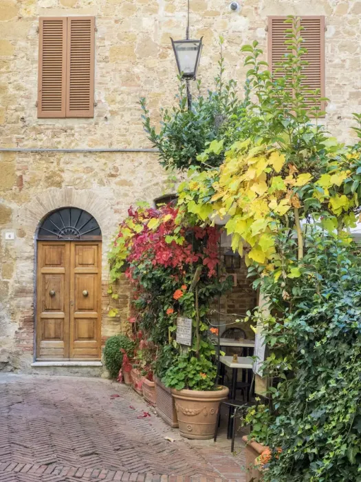 Framed Print : Italy, Tuscany, Pienza. Doorway surrounded by flowers Framed Print : Italy, Tuscany, Pienza. Doorway surrounded by flowers