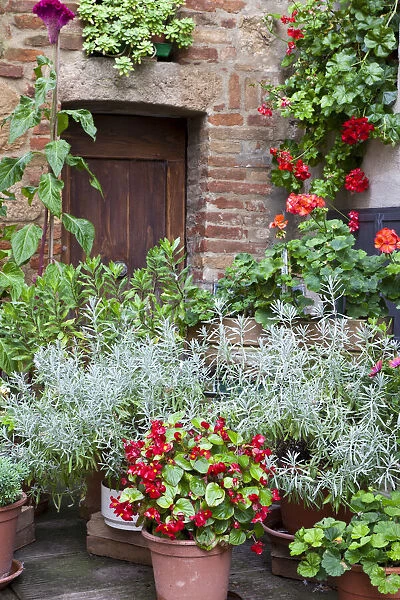 Italy, Tuscany, Pienza. Potted plants in the corner of a street in the town of Pienza