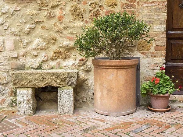 Italy, Tuscany, Pienza. Potted plants and stone bench along the streets