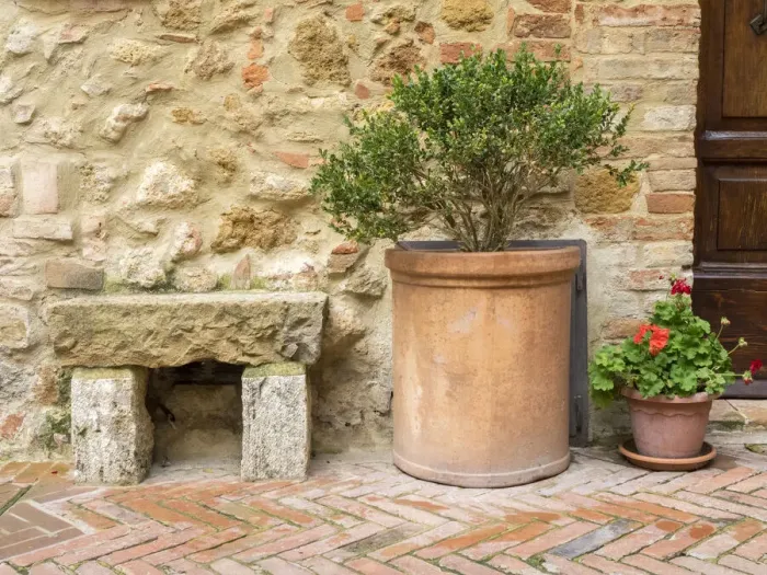 Framed Print : Italy, Tuscany, Pienza. Potted plants and stone bench along the streets