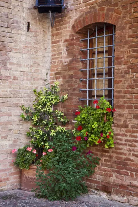 Framed Print : Italy, Tuscany. Plants inside the Abbazia di Monte Oliveto Maggiore, one of the rural monasteries in Tuscany