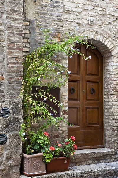 Italy, Tuscany, San Gimignano. Homes decorated with flower pots along the streets of San Gimignano