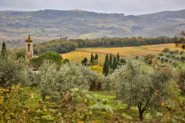 Framed Print : Italy, Tuscany, San Gimignano, Outside San Gimignano Framed Print : Italy, Tuscany, San Gimignano, Outside San Gimignano