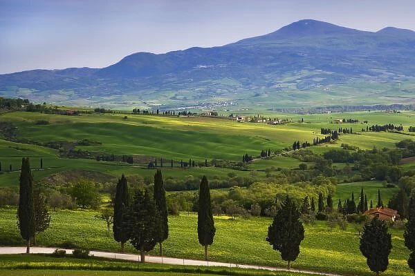 Italy, Tuscany. Scenic of the Tuscan countryside. Credit as: Dennis Flaherty  /  Jaynes