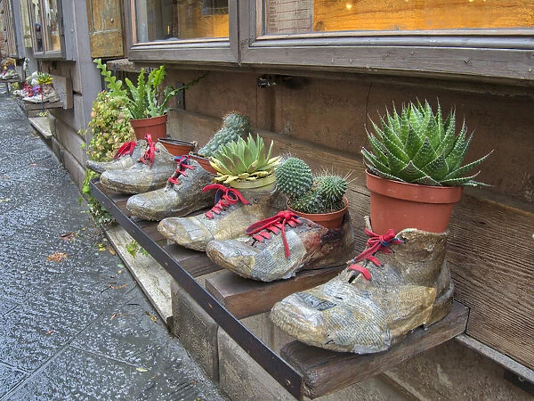 Italy, Tuscany. Shoe planters with plants decorating a shop along a street in a village