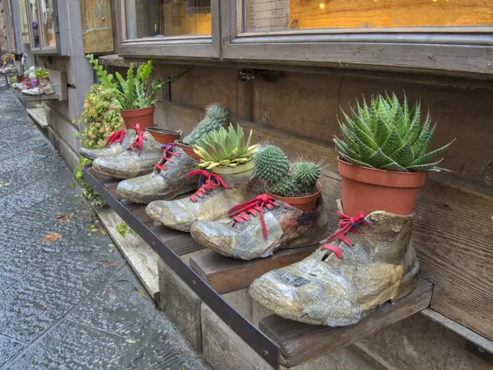 Framed Print : Italy, Tuscany. Shoe planters with plants decorating a shop along a street in a village Framed Print : Italy, Tuscany. Shoe planters with plants decorating a shop along a street in a village