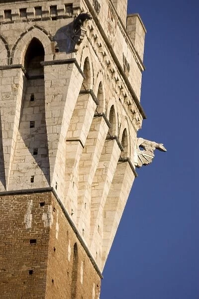 Italy, Tuscany, Sienna. Close-up of gargoyles and top of Torre del Mangia tower