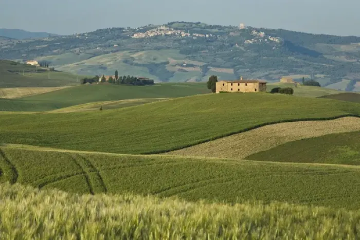 Framed Print : Italy, Tuscany. Springtime landscape near Pienza Framed Print : Italy, Tuscany. Springtime landscape near Pienza