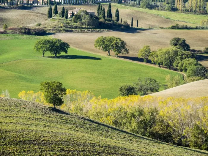 Framed Print : Italy, Tuscany. Tuscan landscape