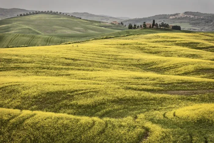 Framed Print : Italy, Tuscany, Val d Orcia Framed Print : Italy, Tuscany, Val d Orcia