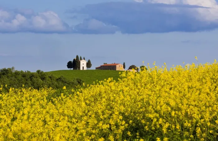 Framed Print : Italy, Tuscany, Val d Orcia. Chapel of Vitaleta and farmhouse Framed Print : Italy, Tuscany, Val d Orcia. Chapel of Vitaleta and farmhouse