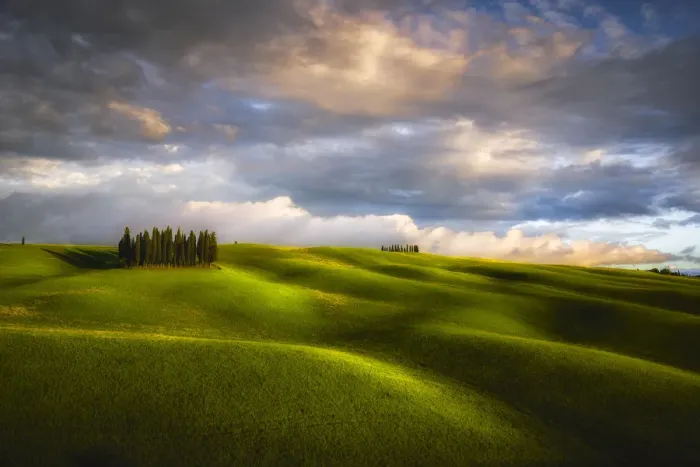 Framed Print : Italy, Tuscany, Val d Orcia. Cypress grove and clouds at sunset Framed Print : Italy, Tuscany, Val d Orcia. Cypress grove and clouds at sunset