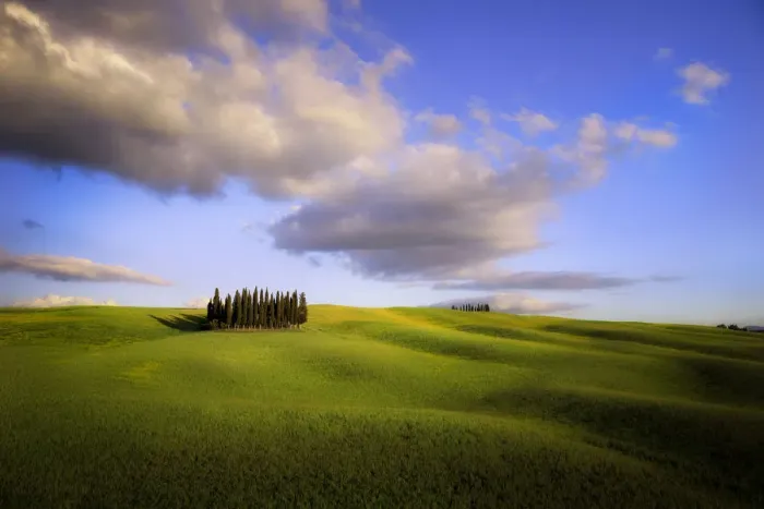 Framed Print : Italy, Tuscany, Val d Orcia. Cypress grove and clouds at sunset Framed Print : Italy, Tuscany, Val d Orcia. Cypress grove and clouds at sunset