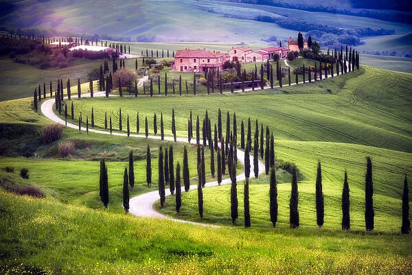 Italy, Tuscany, Val d Orcia. Farm landscape