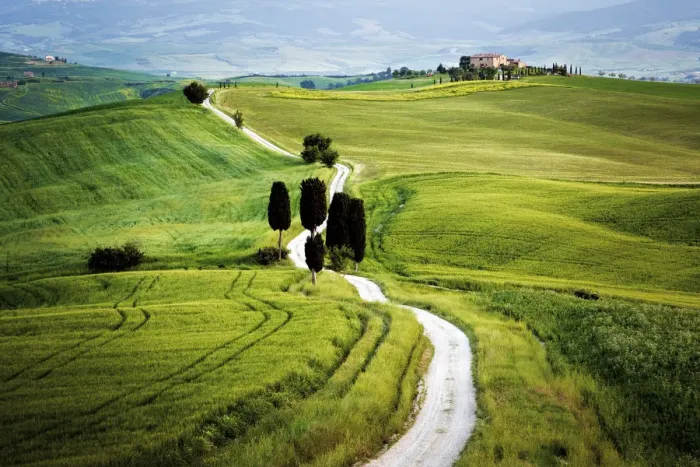 Framed Print : Italy, Tuscany, Val d Orcia. Road to Terrapile farmhouse Framed Print : Italy, Tuscany, Val d Orcia. Road to Terrapile farmhouse
