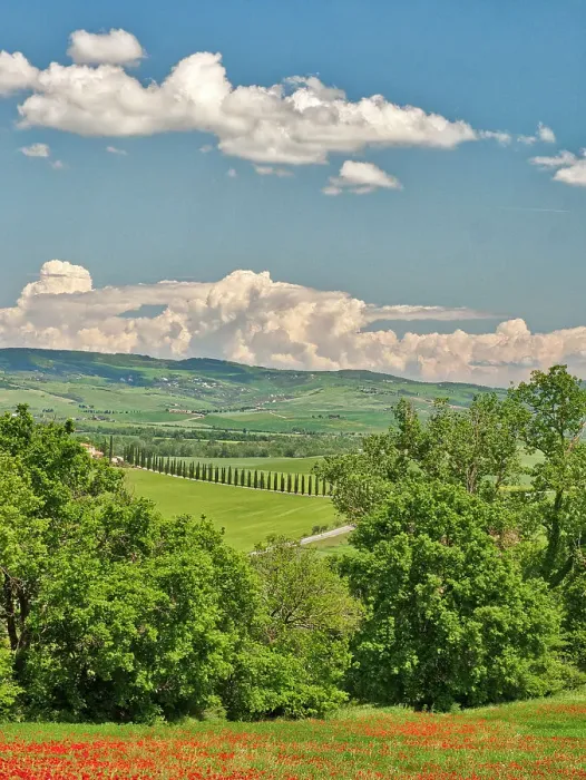 Framed Print : Italy, Tuscany. View of long rows of cypress trees and villa