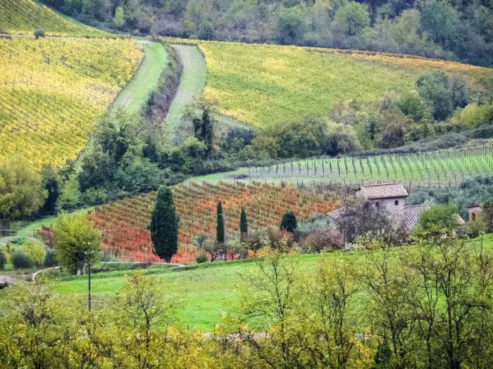 Framed Print : Italy, Tuscany. View of the Tuscan countryside