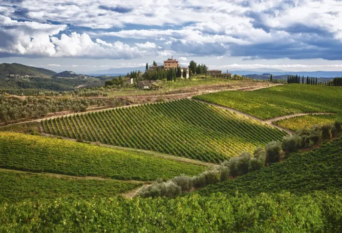 Framed Print : Italy, Tuscany. A view of the vineyards and villa in Chianti region of Tuscany, Italy