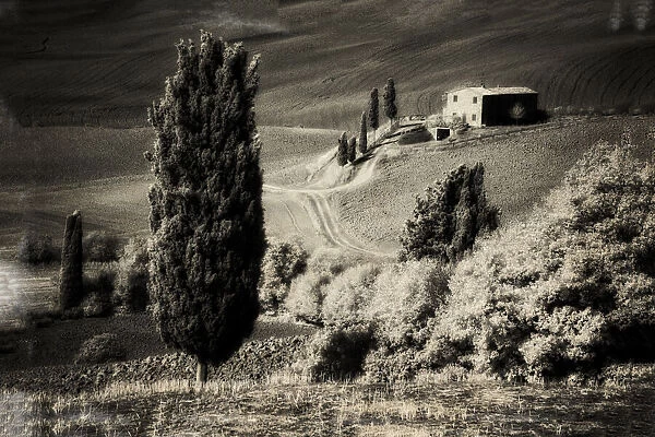Italy Tuscany, Villa in the Tuscan hillside