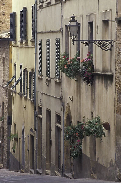 Italy, Tuscany, Volterra Geraniums and old houses on narrow street