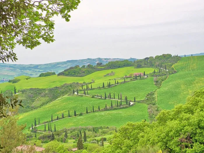 Framed Print : Italy, Tuscany. Winding road on the hillside near La Force Framed Print : Italy, Tuscany. Winding road on the hillside near La Force