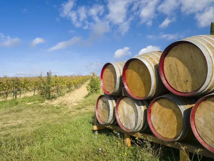 Framed Print : Italy, Tuscany. Wine barrels in a vineyard in Tuscany Framed Print : Italy, Tuscany. Wine barrels in a vineyard in Tuscany