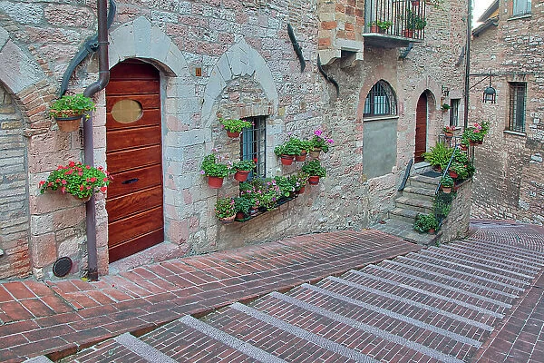 Italy, Umbria, Assisi. Walkway along the streets of Assisi lined with flowering pots