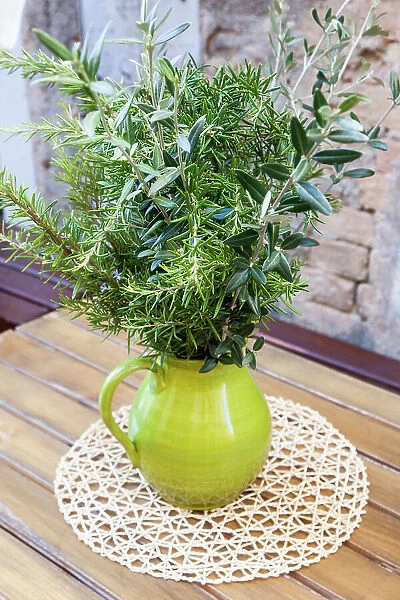 Italy, Umbria, Montefalco. Flower pot display of fresh herbs