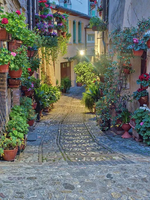Framed Print : Italy, Umbria, Spello. Alley with potted plants Framed Print : Italy, Umbria, Spello. Alley with potted plants