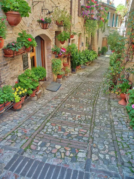 Framed Print : Italy, Umbria, Spello. Alley with potted plants