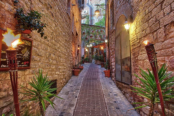 Italy, Umbria. Street lined with flower pots in the town of Assisi