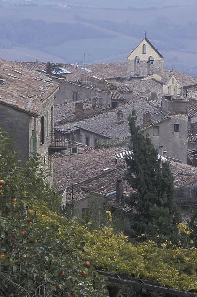 Italy, Umbria, Todl Roofs and church belltowers