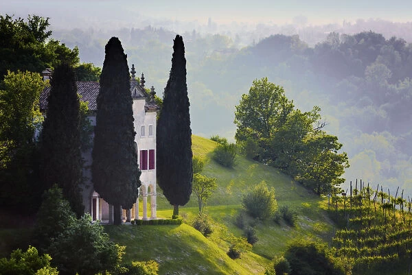 Italy, Veneto, Asolo. Country house and cypress trees