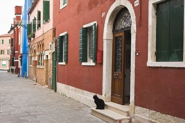 Italy, Venice, Burano. Cat on doorstep of brightly colored house