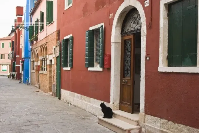 Framed Print : Italy, Venice, Burano. Cat on doorstep of brightly colored house Framed Print : Italy, Venice, Burano. Cat on doorstep of brightly colored house