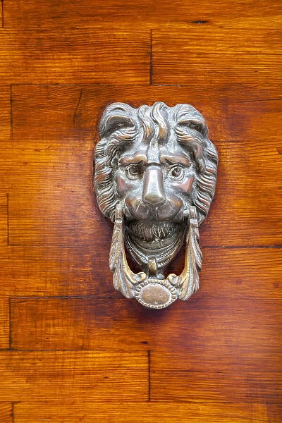 Italy, Venice, Burano Island. Closeup of a lion head door knocker on a wooden door