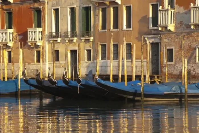 Framed Print : Italy; Venice. Gondolas along the Grand Canal of Venice Framed Print : Italy; Venice. Gondolas along the Grand Canal of Venice