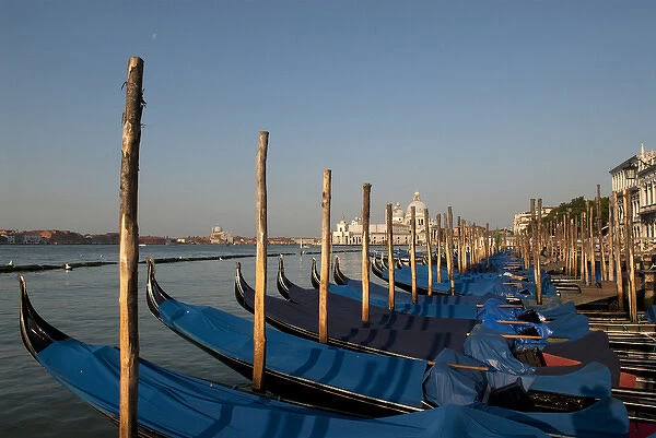 Italy; Venice. Gondolas along the Grand Canal in Venice