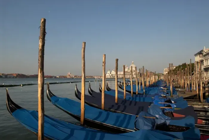Framed Print : Italy; Venice. Gondolas along the Grand Canal in Venice Framed Print : Italy; Venice. Gondolas along the Grand Canal in Venice