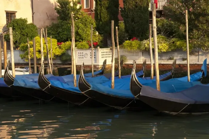 Framed Print : Italy; Venice. Gondolas along the Grand Canal of Venice